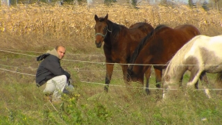 robi-tecaj