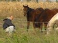 robi-tecaj