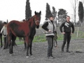 2009 - Natural Horsemanship tečaj