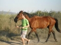 trening265