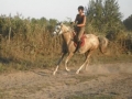trening267