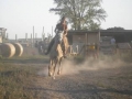trening269