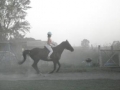 trening270