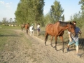 trening271