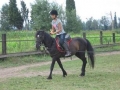 trening274