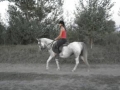 trening275