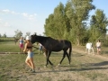 trening278