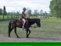 trening279